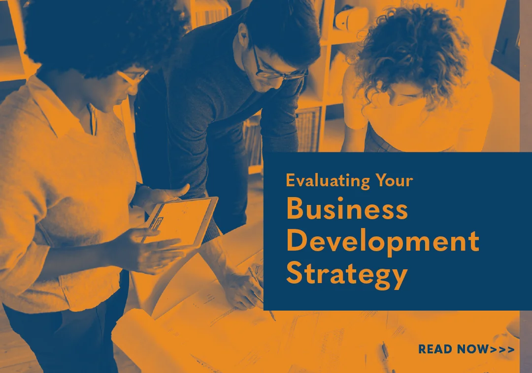 Evaluating Your Business Development Strategy